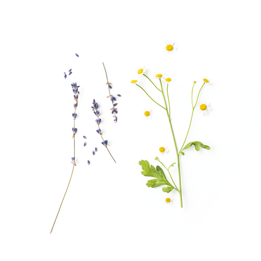 Provence - Hydrating Lip Balm
