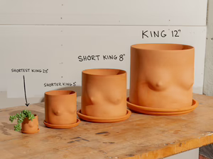 Mini Boob Pot