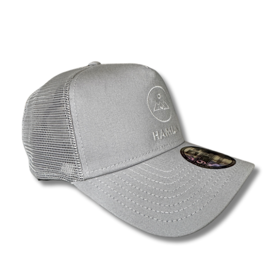 Hamlin Embroidered Logo Hat
